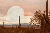 Desert Twilight Fine Art Print