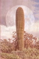 One Alone Fine Art Print