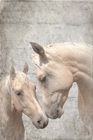 Us Textured Fine Art Print