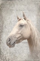 Him Textured Fine Art Print