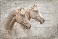 Looking Forward Textured Fine Art Print