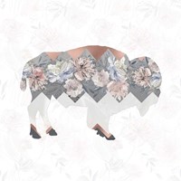 Square Buffalo Fine Art Print