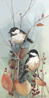 New Chickadee II Fine Art Print