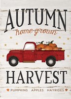 Autumn Harvest Fine Art Print