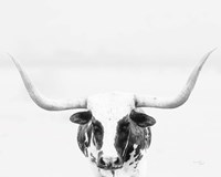 Longhorn Fine Art Print