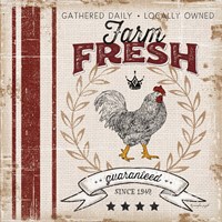 Farm Fresh Fine Art Print