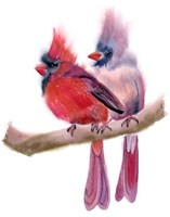 Cardinal Couple Fine Art Print