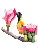 Pink Beak Fine Art Print