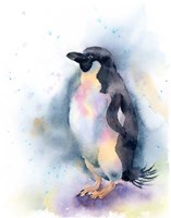 Penguin I Fine Art Print