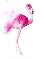 Flamingo III Fine Art Print