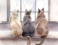 Cats Fine Art Print