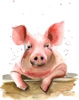 Piglet Fine Art Print