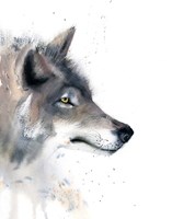 Wolf III Fine Art Print