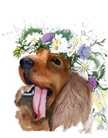 Flower Crown Puppy II Fine Art Print