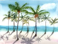 Palm Trees Fine Art Print