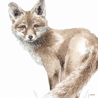 Forest Friends V Fine Art Print