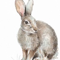 Forest Friends II Fine Art Print