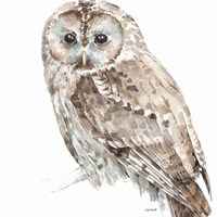 Forest Friends III Fine Art Print