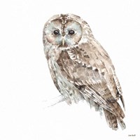 Forest Friends IX Fine Art Print