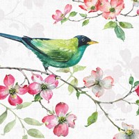 Dogwood Garden II Fine Art Print