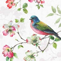 Dogwood Garden III Fine Art Print