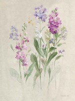 Sprigs of June II Framed Print