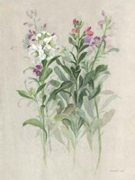 Sprigs of June I Framed Print