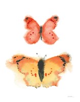 Watercolor Butterflies IV Framed Print
