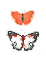 Watercolor Butterflies III Fine Art Print