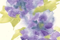 Violet and Gray II Framed Print