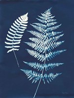 Nature By The Lake - Ferns V Fine Art Print