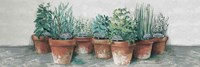 Pots of Herbs II Cottage v2 Fine Art Print
