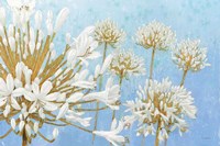 Golden Spring Fine Art Print