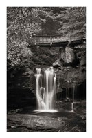 Elakala Falls West II BW Fine Art Print