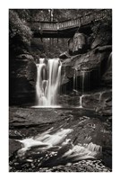 Elakala Falls West I BW Fine Art Print