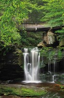 Elakala Falls West II Fine Art Print