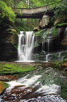 Elakala Falls West I Fine Art Print