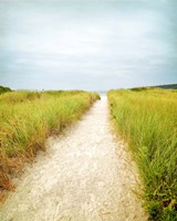 Beach Trail Fine Art Print