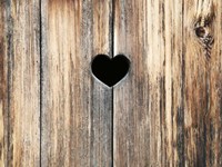 Heart in Wood Fine Art Print