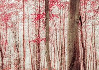 Pink & Brown Fantasy Forest Fine Art Print