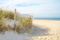 Sandy Neck Fine Art Print