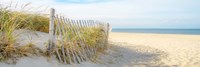 Sandy Neck (panorama) Fine Art Print