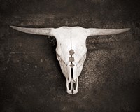 Sepia Cattle Skull Fine Art Print