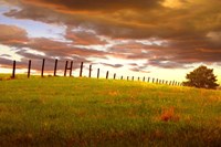 Fenceline, South Dakota Fine Art Print