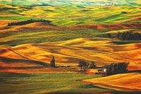 Palouse #22 Fine Art Print