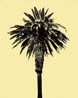 Palm Tree 1996 (Yellow) Fine Art Print