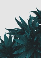 End Up Here Fine Art Print