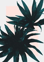 Fly Away Fine Art Print