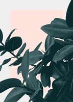 Imagine Fine Art Print