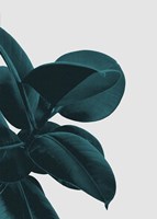 Long Way Home Fine Art Print